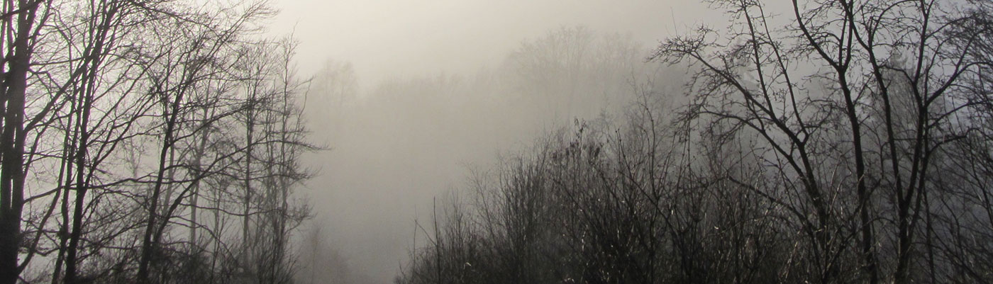 Above the fog (foto kadege59, Flickr.com)
